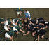 Scrum poster | World Cup Rugby | TotalPoster