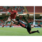 Shane Williams poster | World Cup Rugby | TotalPoster