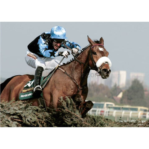 Abedul plateado | Póster de carreras de caballos | TotalPoster