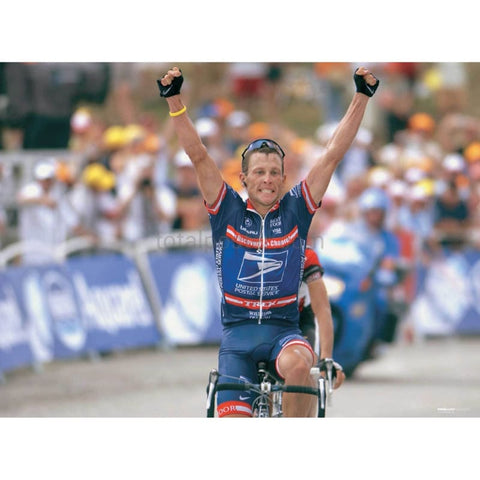 Stage 13 won by Armstrong | Tour de France Posters