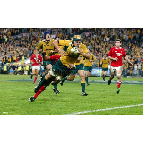 Stephen Hoiles poster | Rugby | TotalPoster
