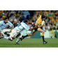 Stephen Larkham poster | World Cup Rugby | TotalPoster