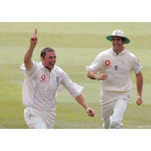 Steve Harmison celebrates taking an Australian wicket during the first day of the Ashes npower First Test | TotalPoster