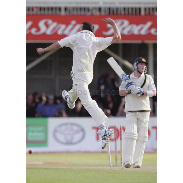 Steve Harmison jumps in celebration after taking a wicketduring the 2nd npower Ashes Test between England and Australia at Edgbaston | TotalPoster