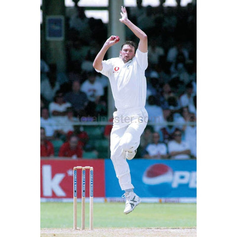 Steve Harmison | Cricket Posters | TotalPoster
