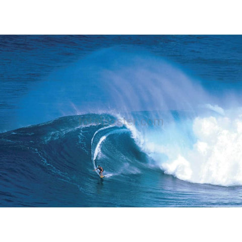 Póster de surfista | TotalPoster