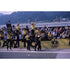 Colin Chapman and the Lotus Team Celebrate winning the Austrian F1 Grand Prix | TotalPoster