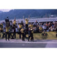 Team Lotus | Historic F1 | TotalPoster