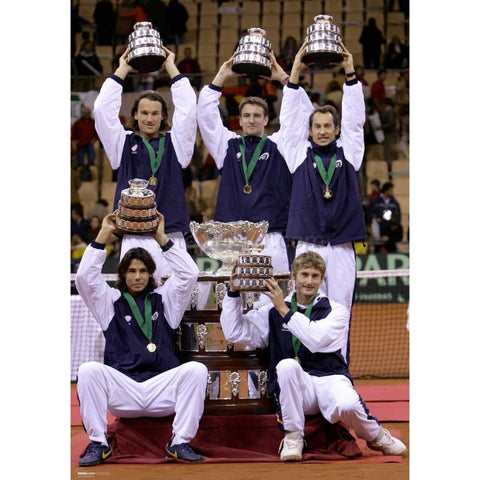 The Davis Cup Winners poster | Tennis | TotalPoster