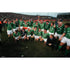 Ireland Celebrate | Six Nations rugby posters TotalPoster