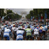 The Peloton | Tour de France Posters TotalPoster