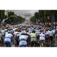 The Peloton | Tour de France Posters