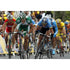 Thor Hushovd | Tour de France Posters TotalPoster