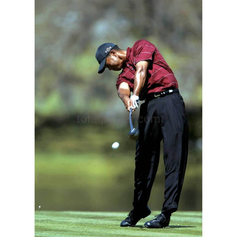 Bosques de tigre | Cartel de golf | TotalPoster