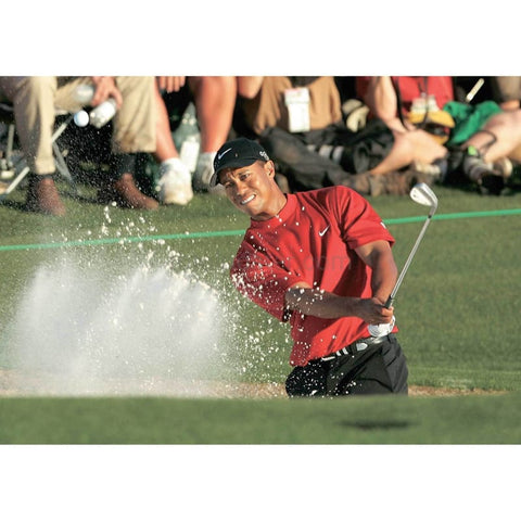 Bosques de tigre | Cartel de golf | TotalPoster