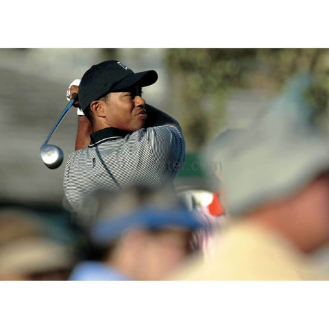 Bosques de tigre | Cartel de golf | TotalPoster