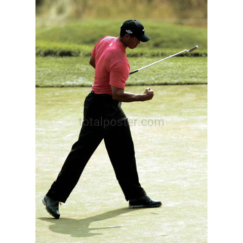 Bosques de tigre | Cartel de golf | TotalPoster
