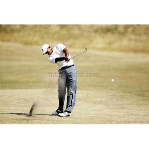 Bosques de tigre | Cartel de golf | TotalPoster