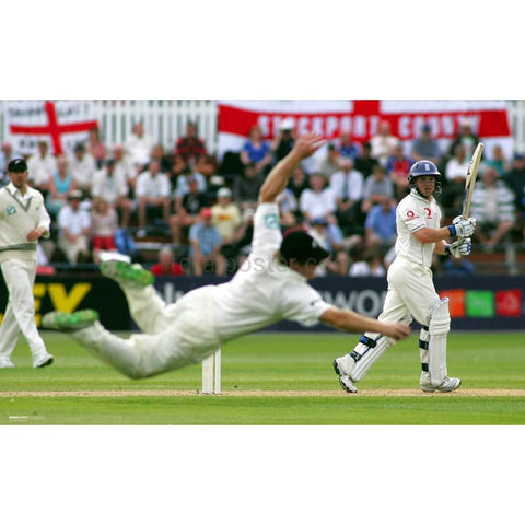 Tim Ambrosio | Carteles de críquet | TotalPoster