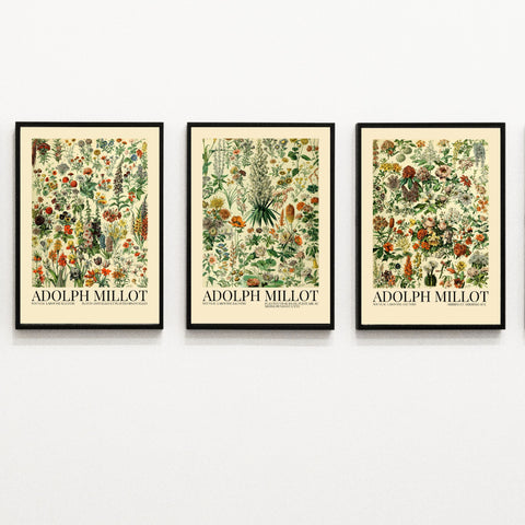 Flores de Adoph Millot - Juego de 3 carteles impresos con ilustraciones vintage | Decoración del hogar | cartel total