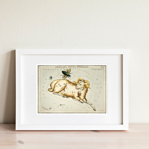 Ilustración del zodiaco Aries vintage | Decoración del hogar | cartel total