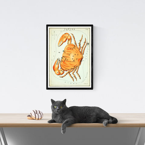 Ilustración del zodiaco Cáncer vintage | Decoración del hogar | cartel total