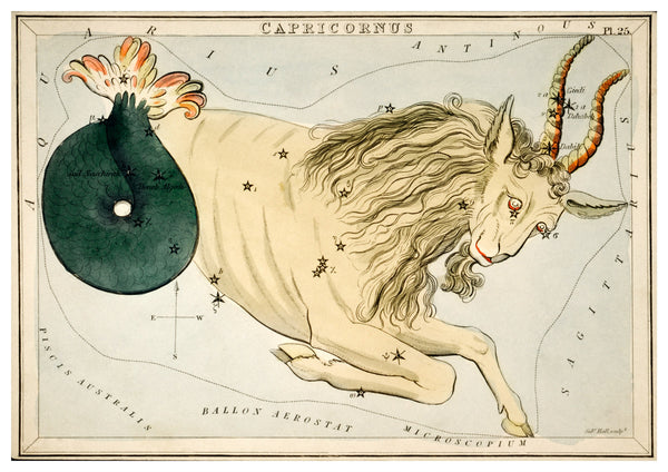 Vintage Capricorn Zodiac Illustration  | Home Decor | Totalposter