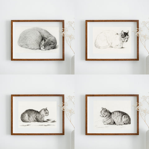 Impresiones de gatos vintage - Ilustraciones vintage de gatos | Decoración del hogar | cartel total