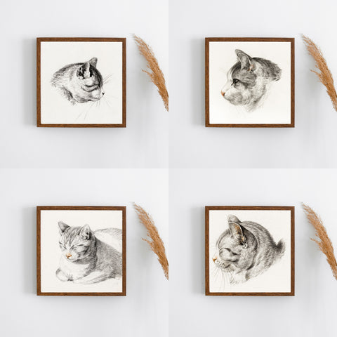 Impresiones de gatos vintage - Ilustraciones vintage de gatos | Decoración del hogar | cartel total