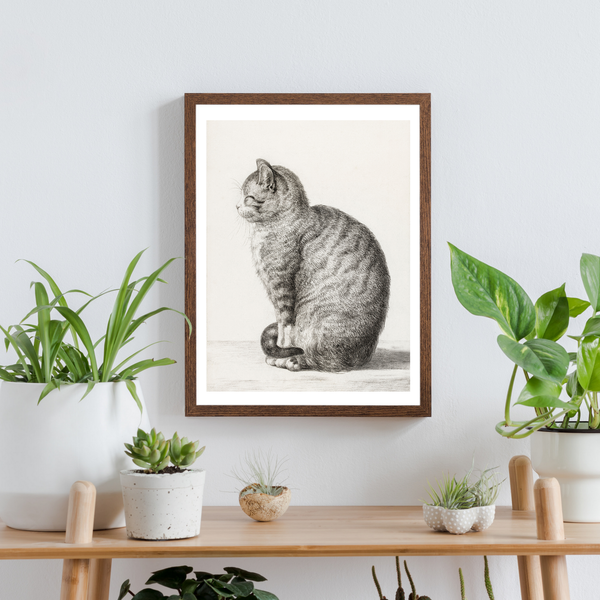 Vintage Cat Print - Vintage illustration of a Cat  | Home Decor | Totalposter