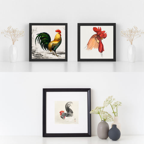 Impresiones de pollo vintage - Ilustraciones antiguas de Gallo Gallo | Decoración del hogar | cartel total