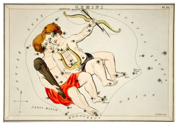 Vintage Gemini Zodiac Illustration  | Home Decor | Totalposter