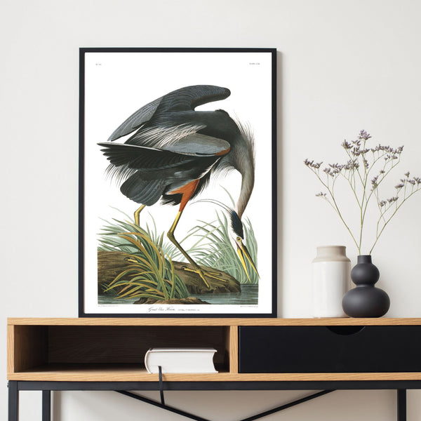 Vintage birds | Great Blue Heron | Illustrations | Totalposter