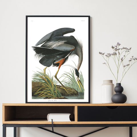 Aves de época | Gran garza azul | Ilustraciones | cartel total