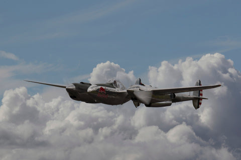 Lockheed Martin P38 Rayo | Pósteres de aviones y aviación | cartel total