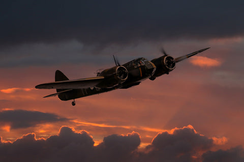 Bombardero ligero Bristol Blenheim | Pósteres de aviones y aviación | cartel total
