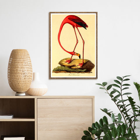 Aves de época | Flamenco | Ilustraciones | cartel total