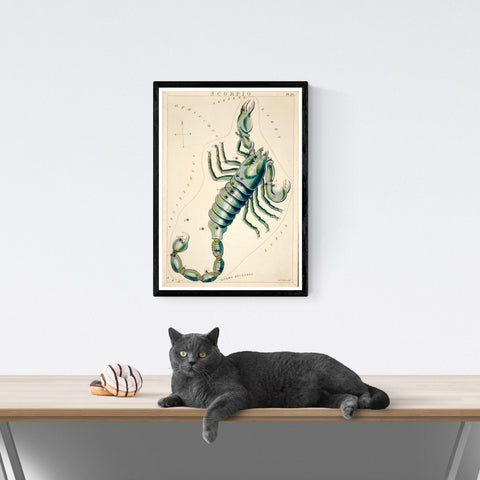Ilustración del zodiaco Escorpio vintage | Decoración del hogar | cartel total