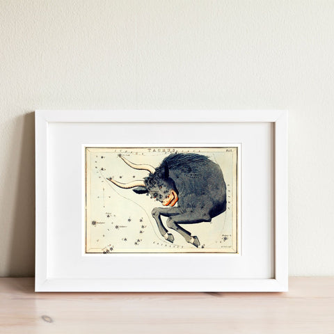 Ilustración del zodiaco Tauro vintage | Decoración del hogar | cartel total