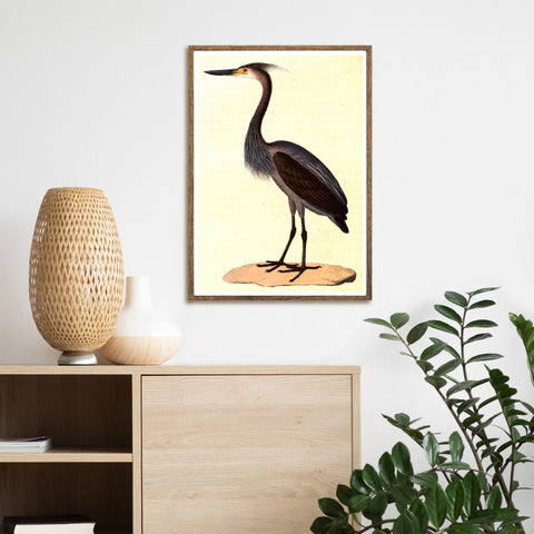 Aves de época | Garza | Ilustraciones | cartel total