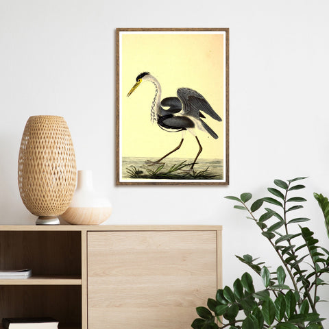 Aves de época | Garza | Ilustraciones | cartel total