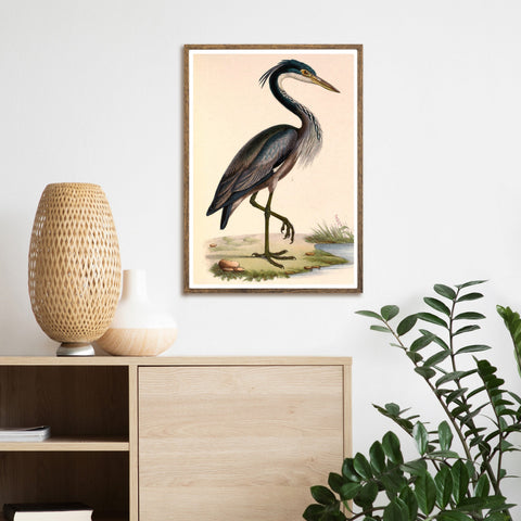 Aves de época | Garza | Ilustraciones | cartel total