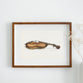 Vintage violin illustration print  | Vintage Music Art | Illustrations | Totalposter