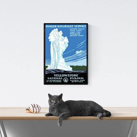 Vendimia | Viajes | Póster | Piedra amarilla | Nacional | Parque | Estados Unidos | Arte | decoración | estilo