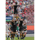 Tom Palmer poster | Heineken Cup Rugby | TotalPoster