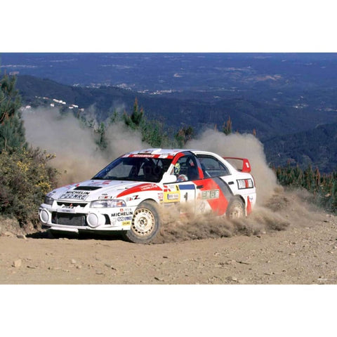 Tommi Makinen | Cartel del Rally Mundial | TotalPoster