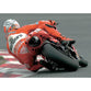 Troy Bayliss Ducati | MotoGP Posters |TotalPoster