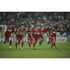 Turkey's players celebrate | Football Poster | TotalPoster