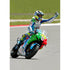 Valentino Rossi celebrates | MotoGP posters | Assen TotalPoster